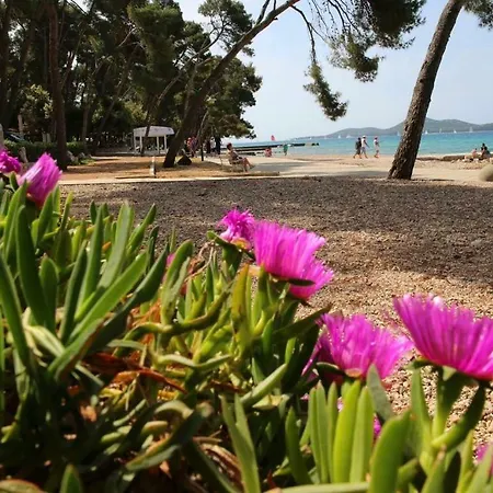 Mobile Homes Crystal Biograd Na Moru