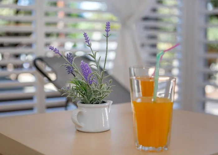 Mobile Homes Crystal 4*