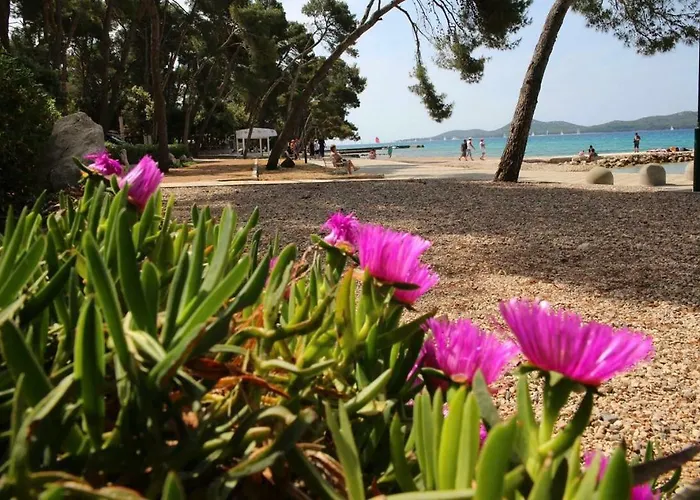 Mobile Homes Crystal Biograd Na Moru